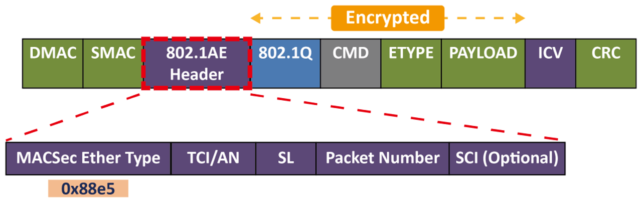 MACSec is a MAC layer (layer 2) encryption and decryption method for secure communication on an Ethernet link.