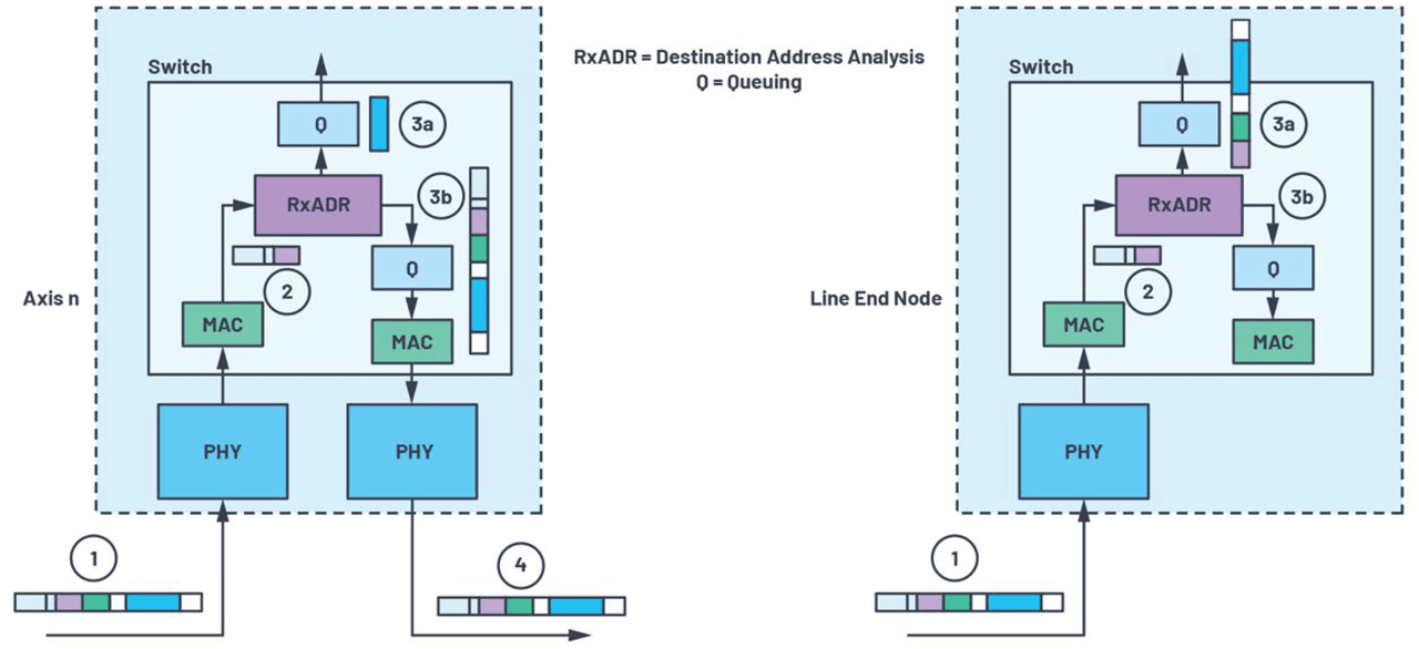 Figure 4. Frame latencies: (a) 2-port node frame latencies and (b) line end node.