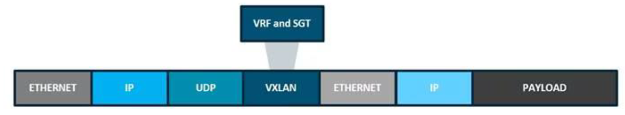 Figure 7. Fabric VXLAN Alternative Forwarding Attributes.